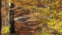 A&S Apartaments - RELAX - Foto 4