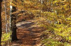 A&S Apartaments - RELAX - Foto 4