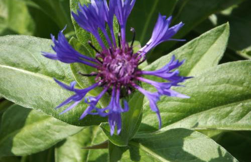 Villa proche plages - Foto 19