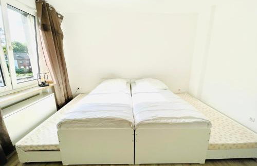 Fair, University, BVB - Foto 14