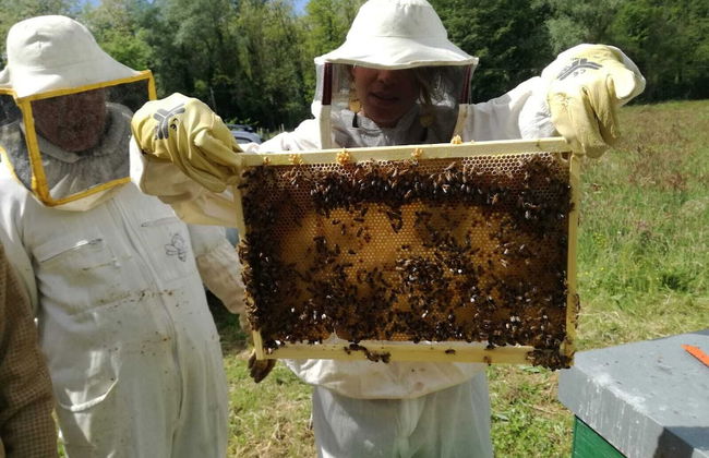 Villa Poggio di Gaville - Foto 24