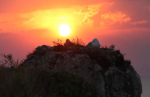 La lisette - Foto 42