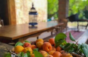 Il Bosco del Lebbio - Foto 10