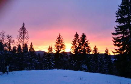 Appartement Les Belluis - Foto 21