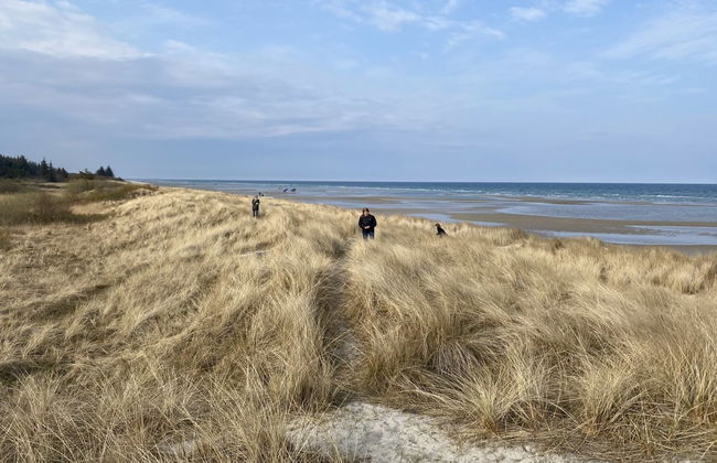 "Kajo" - 800m from the sea - Foto 16