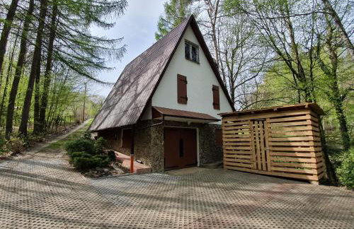 Leśny Zakątek - Foto 19