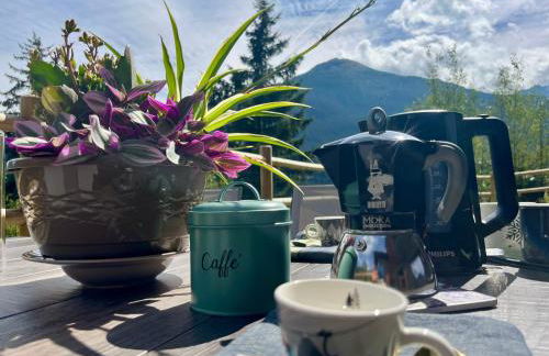 Giardino sulle Alpi - Foto 23