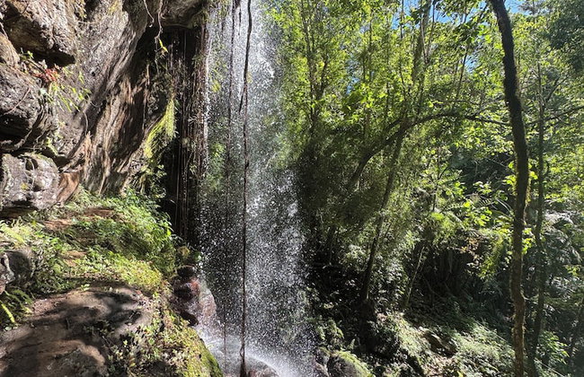 Piedra y Agua Eco Lodge - Foto 40