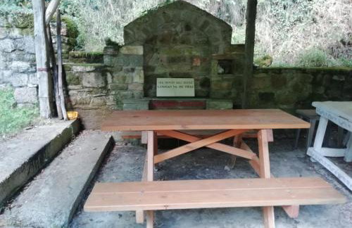 Τα πλατάνια - Foto 30