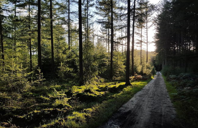 Semi-detached Bungalow with Dishwasher near Veluwe - Photo 38