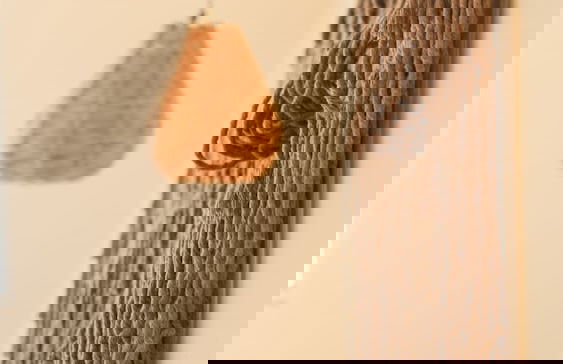 Casa Apolinar I Selvanova I Pool - Photo 7