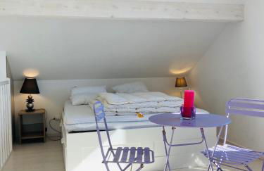 Grand appartement 1ch vue Océan - Foto 19