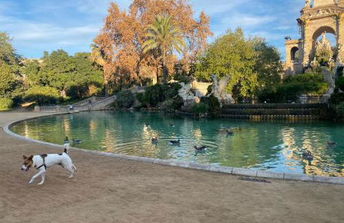 Esparteria 2 - Foto 18