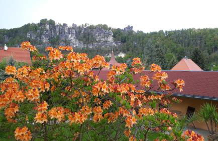 Ferienwohnung Familie Frank - Foto 53