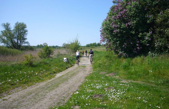 Flat on Rugen for 2 Adults and 2 Children - Foto 20