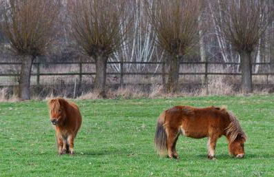 Ferienwohnung Relax - Foto 39