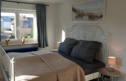 Großer Elefant - Foto 16