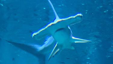 Appartement de 100m² bien situé - Foto 3