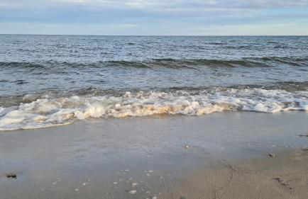 Ferienwohnung Kleine Auszeit Nr 4 - Foto 15