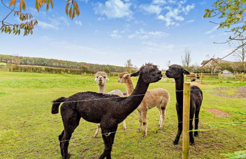 2 Bed in Cockermouth 95716 - Foto 22