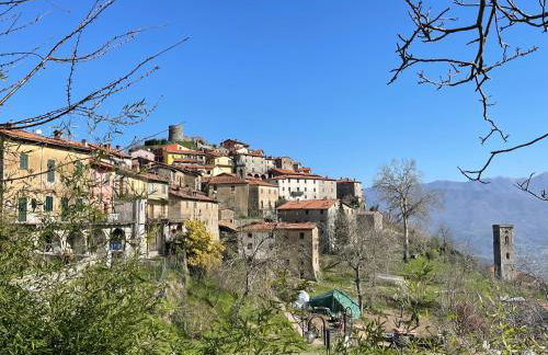 Trassilico Casa vacanze montagne verdi in Garfagnana Toscana Lucca - Foto 38