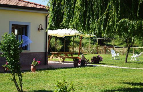 Agriturismo Terra Di Elea azienda agricola di Raimondo MIchela - Foto 51