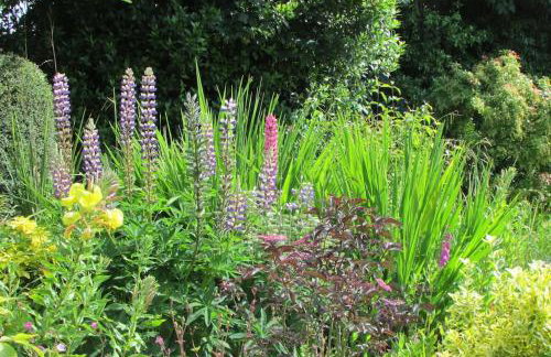 Lower Great Torr - Foto 36