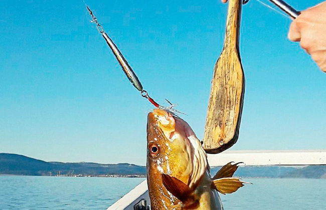 7 Person Holiday Home in Lensvik - Foto 24