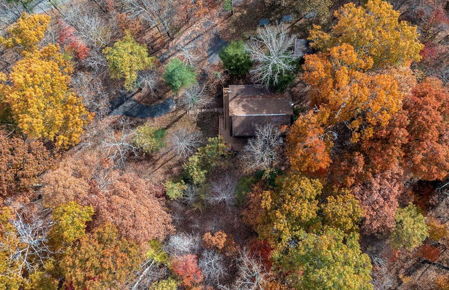 Cabin in the Trees, Hot Tub, Fire Pit - Foto 56
