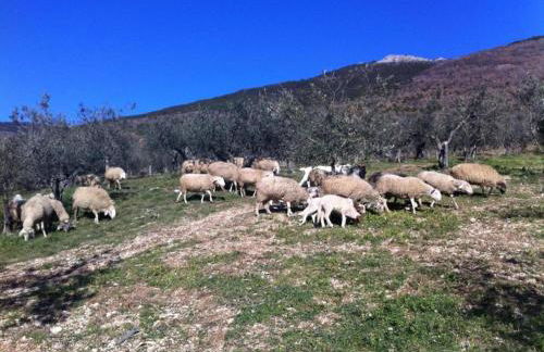 Apartment in Umbria With Shared Pool - Photo 64