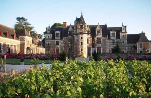 GITE LOFT DE 15 PERSONNES AU CHATEAU DE JALLANGES VOUVRAY - Foto 20