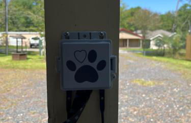 Cedar Shack Unit B - Foto 10