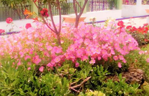 Maria's Paradise - Foto 36