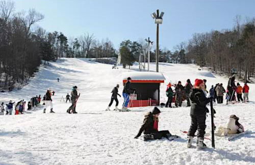 Big Yard Family Getaway - Pets OK - Grill and Hike - Foto 6