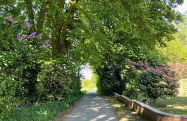 Ferienwohnung Idyll - Alleinlage - Foto 17