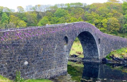 Tramway Cottages - Photo 47