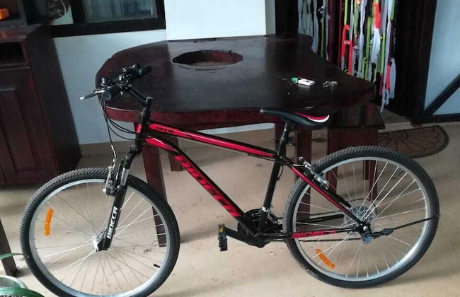 Apartamentos Massai - Foto 60