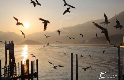 BELLAGIO DREAMS APT, pool, with private garden, near lake - Foto 44