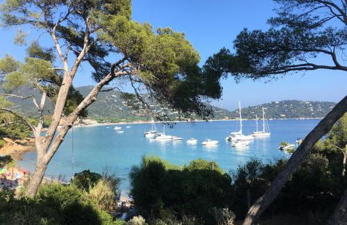 Cap Sud,apt 4p,vue mer,pr plage - Foto 4