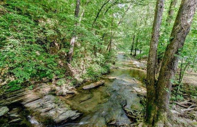Creekside - Photo 11