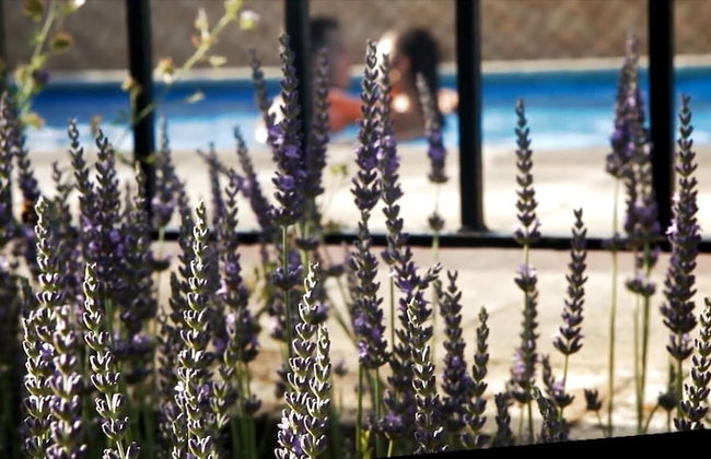 Casa rural El Salero en Moratalla - Foto 32