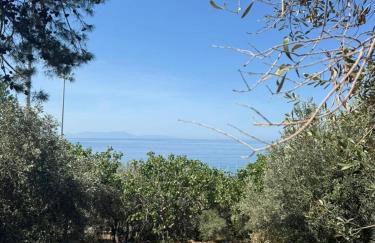 Varvayanni Villa - Foto 38