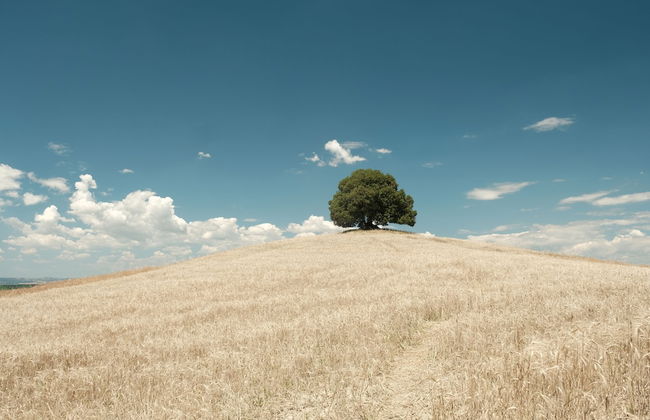 Fattoria Pieve a Salti - Foto 14