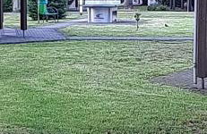 Ankes Fewo im Wohnpark Uninah in Freiberg - Photo 15