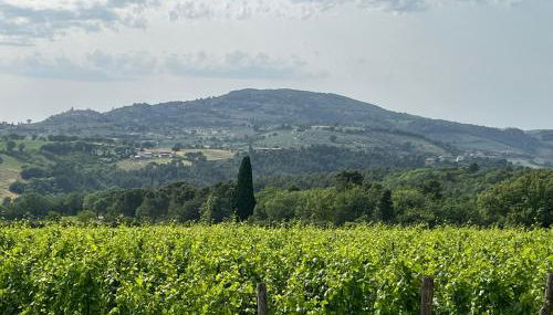 Casale Armonia - Foto 5