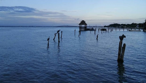 Disfrutando del paseo en lancha por la laguna de Términos