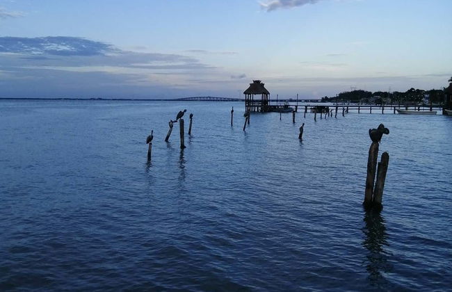 Giro in barca sulla laguna di Términos - Foto 2
