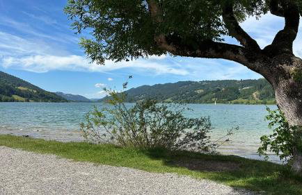 FeWo Alpenfreude mit Hallenbad - Foto 37