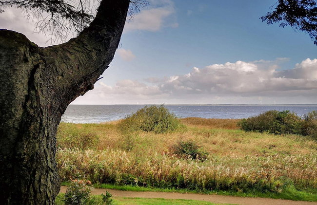 6 Person Holiday Home in Ulfborg - Foto 33