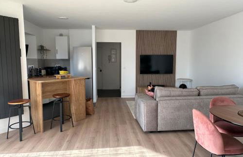 Appartement proche Paris-Aéroport CDG-Gare-Disney - Foto 15